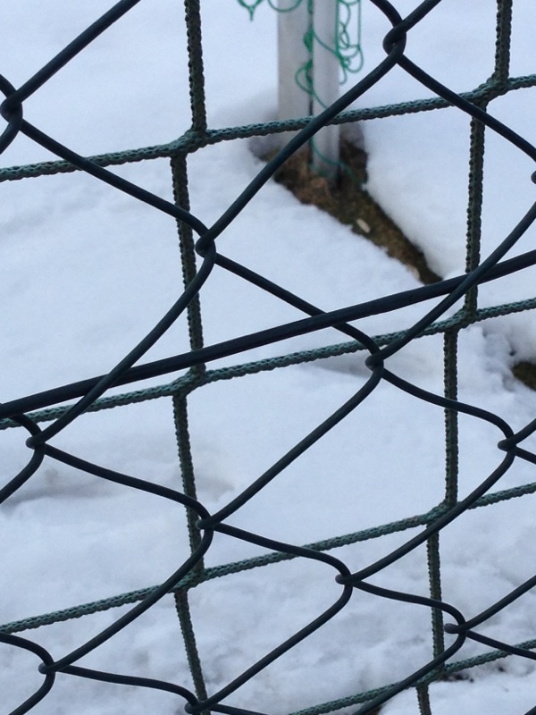 Nichts geht auf dem Bergfelder Sportplatz